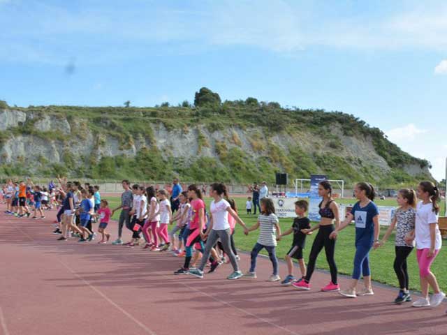 vergoteia-gallery-2018-4