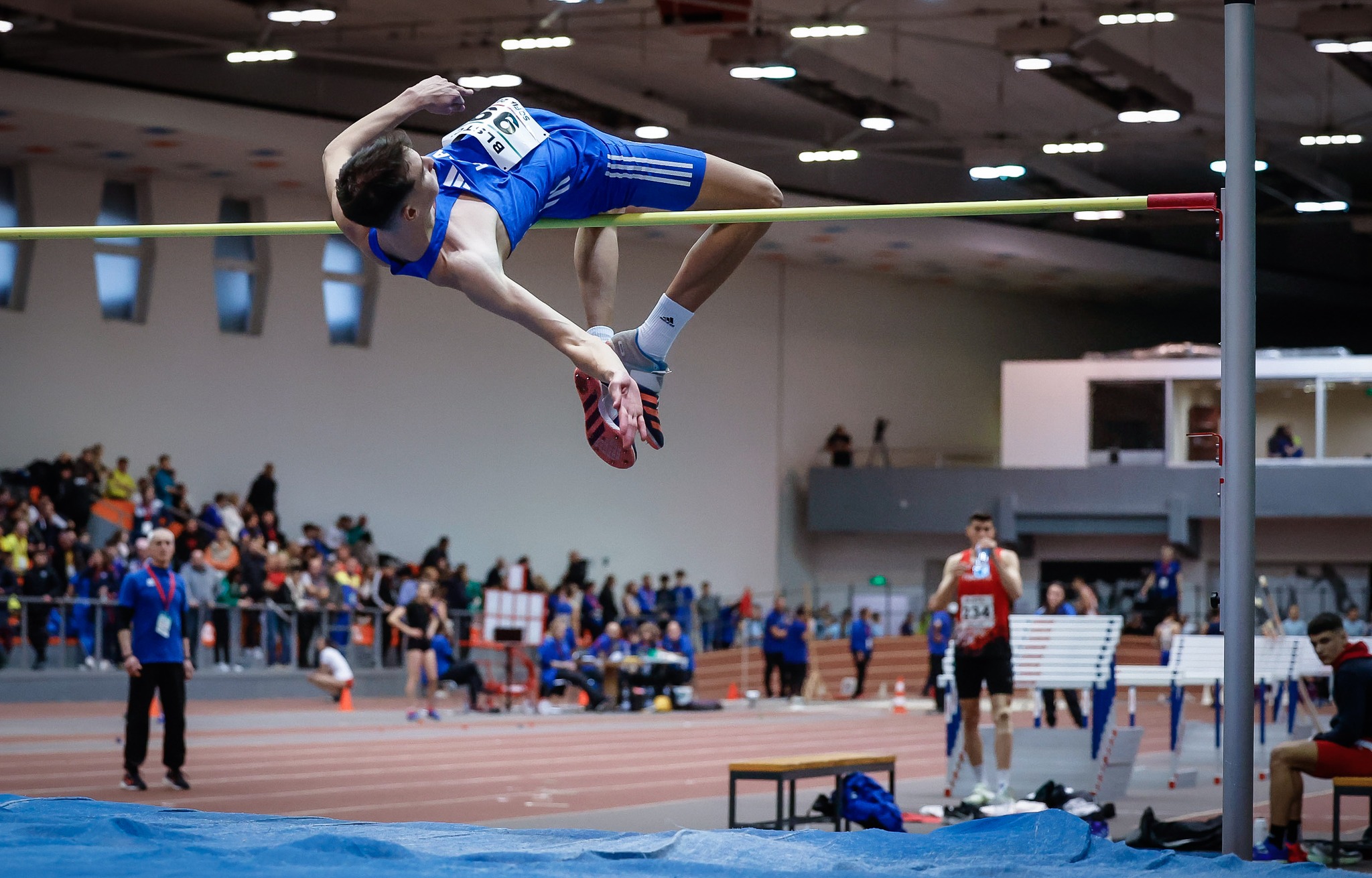 xaris alivizatos xaris alivizatos