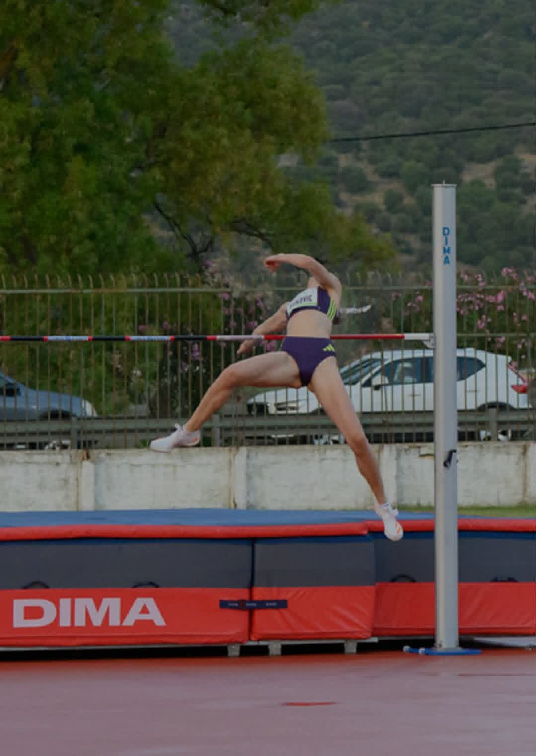 vukovic hj